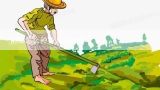 南瓜怎么种植方法视频,南瓜尖种植技术视频教程(南瓜尖种植技术视频)