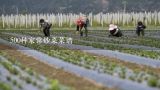 500种家常炒菜菜谱,家常菜菜谱食谱大全