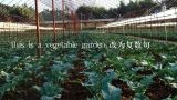this is a vegetable garden.改为复数句,this is a vegetable garden.改为复数句