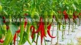 胡家庙蔬菜批发市场,拉菜进去,怎么收费,重庆一级蔬菜批发市场有几个