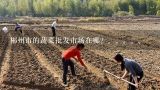 郴州市的蔬菜批发市场在哪？。。。。。,湖南的水果批发市场有哪些