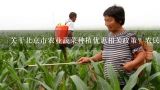 关于北京市农业蔬菜种植优惠相关政策？农民在家大面积种植蔬菜国家给予相关的补贴吗？农民种植大棚蔬菜国家有什么政策和补贴
