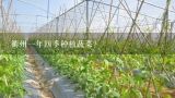 衢州一年四季种植蔬菜？河北省蔬菜种植时间表