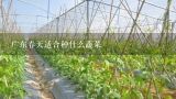 广东春天适合种什么蔬菜,广州地区春分后适合种什么菜