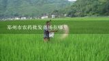 郑州市农药批发市场在哪里,成都农药化肥批发市场在哪里
