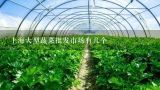 上海大型蔬菜批发市场有几个,上海市二级蔬菜批发市场有多少