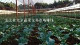 怎么在北京蔬菜交易市场赚钱,北京最大水果批发市场联系方式