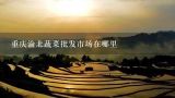 重庆渝北蔬菜批发市场在哪里,重庆永川的蔬菜批发市场在哪里