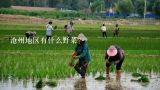 沧州地区有什么野菜？沧州地区有什么野菜?