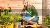 阳台立体蔬菜种植机哪种好？阳台立体种植蔬菜如何实现适合种什么蔬菜
