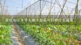 重庆地区冬季大棚不加温可以种什么蔬菜,秋季适合种什么蔬菜图片大全