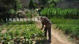 上海蔬菜批发市场排名？上海蔬菜批发市场哪里最便宜？