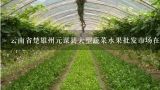 云南省楚雄州元谋县大型蔬菜水果批发市场在哪里？楚雄水果批发市场在哪？