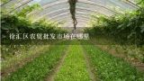 上海最大的蔬菜批发市场在哪里？上海有几个大型蔬菜批发市场 在哪里 具体地址 批量