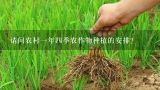 请问农村一年四季农作物种植的安排?四川绵阳夏季适合种什么蔬菜水果？