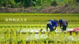 食物相克大全,食物相生、相克大全