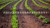 济南匡山蔬菜批发市场黄洋葱的价格是多少/,请问天津蓟县蔬菜批发市场目前的各种蔬菜价格是多少？要便宜的蔬菜，谢谢！