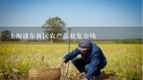 上海浦东新区农产品批发市场,请问上海浦东农产品批发市场在什么地方？？