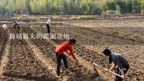 曲靖最大的苗圃基地,陕西省榆林市最大的苗木市场