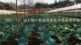 2012‘12’16上海江桥蔬菜批发市场莴笋价格多少,上海蔬菜批发市场价格