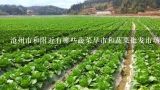 沧州市和附近有哪些蔬菜早市和蔬菜批发市场？沧州市和附近有哪些蔬菜早市和蔬菜批发市场