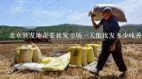 北京新发地蔬菜批发市场一天能批发多少吨香菇香菇现在是什么价格,临汾蔬菜批发市场价格是多少
