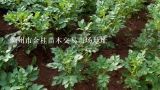 滁州市金桂苗木交易市场地址,全国著名的苗木产地有哪些？