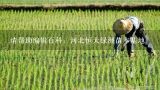 请帮助编辑百科：河北恒大绿洲苗木基地,高邑县的北方花卉基地的详细资料是