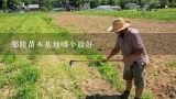 鄢陵苗木基地哪个最好,湖北省武汉市蔡甸区有哪些苗木基地