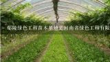 鄢陵绿色工程苗木基地是河南省绿色工程有限公司的苗木基地吗？河南省鄢陵县的绿色苗木种植基地的规模有多大？