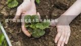 洛宁县镇阳光花木苗木基地地址,新成立绿化公司自己的苗木基地相关费用怎么计