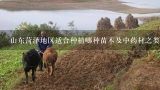山东菏泽地区适合种植哪种苗木及中药材之类的经济作物？去年从山东菏泽牡丹基地买来的牡丹苗在湘西怎么长不好？