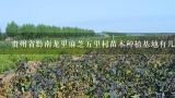 贵州省黔南龙里麻芝五里村苗木种植基地有几家