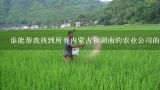 谁能帮我找到所有内蒙古和湖南的农业公司的详细资料,攸县大同桥镇那个园林有草皮买吗？