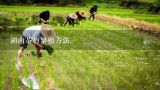湖南茶梅繁殖方法,全国著名的苗木产地有哪些？