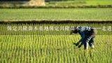 保定兴隆苗木基地保定兴隆苗木基地——走进中国最大的苗木生产基地;探索中国苗木生产业的新变革