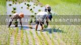 在湖北宜昌这样办理花卉苗木基地自产自销合格证,宜昌有个濒危植物保护库 224种珍稀植物安家