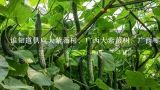 紫薇苗哪里好还是江苏紫薇苗木价格便宜成活率高,最新绿化苗木品种基地，江西省三红紫薇培育基地在哪里