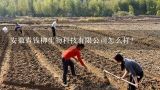 安徽青钱柳生物科技有限公司怎么样？一棵富硒青钱柳树每年的采叶量是多少?