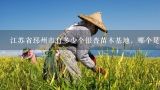 江苏省邳州市有多少个银杏苗木基地，哪个是有名声的,湖北省内哪里有山胡椒苗木基地?