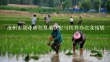 沧州市创业孵化基地认定与扶持办法及拓展,沧州大棚蔬菜基地地址