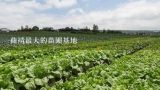 曲靖最大的苗圃基地,成武县长清苗木种植专业合作社怎么样？