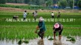 马鞍山凤凰湖生态植物园有限公司怎么样？马鞍山市传明苗木种植有限公司怎么样？