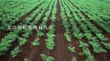 九江种植基地有几个,安徽芜湖香椿苗木基地在哪里
