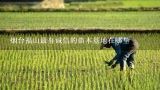 烟台福山最有诚信的苗木基地在哪里,大叶黄杨小叶黄杨哪个更耐寒？