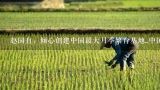 赵国有：倾心创建中国最大月季繁育基地_中国月季园,南阳月季园在什么地方？
