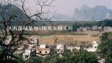 陕西蒲城基地h阳光大棚工程,陕西省蒲城县有大规模的核桃种殖基地吗?