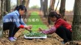 越南苗木平台有哪些,奇楠沉香树苗适合在哪里种植