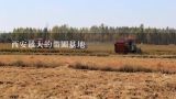 西安最大的苗圃基地,宝鸡市渭滨区众鑫种植农民专业合作社怎么样？