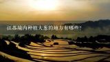 江苏境内种植大葱的地方有哪些？启隆乡的农业经济